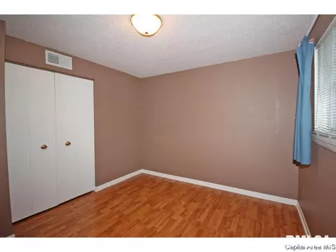 844 Hackberry Rd, Chatham, IL 62629 photo 19
