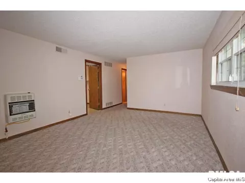 844 Hackberry Rd, Chatham, IL 62629 photo 7