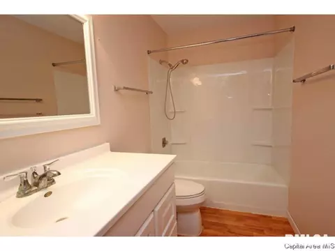 844 Hackberry Rd, Chatham, IL 62629 photo 25