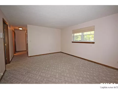 844 Hackberry Rd, Chatham, IL 62629 photo 6