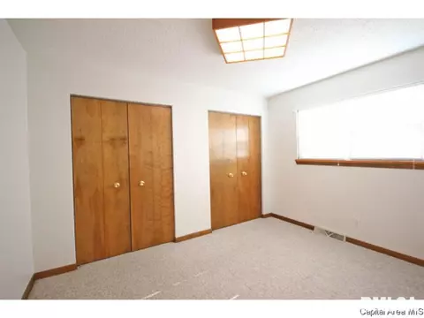 844 Hackberry Rd, Chatham, IL 62629 photo 21
