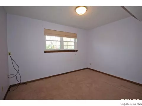 844 Hackberry Rd, Chatham, IL 62629 photo 28