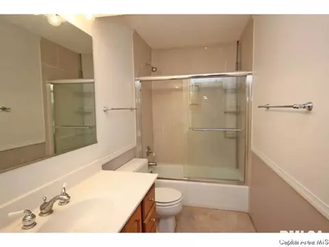 844 Hackberry Rd, Chatham, IL 62629 photo 24