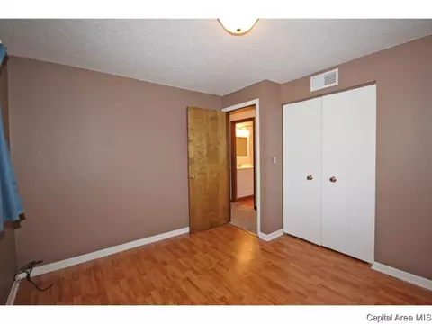 844 Hackberry Rd, Chatham, IL 62629 photo 20