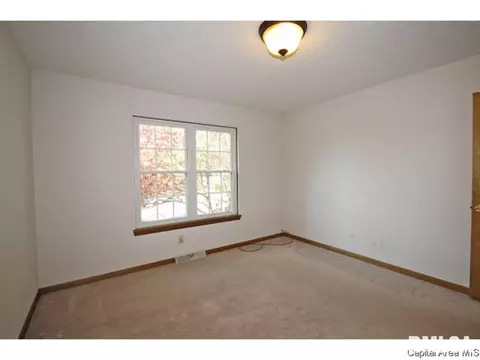 844 Hackberry Rd, Chatham, IL 62629 photo 12