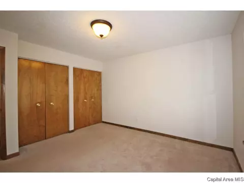 844 Hackberry Rd, Chatham, IL 62629 photo 15