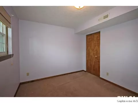 844 Hackberry Rd, Chatham, IL 62629 photo 16