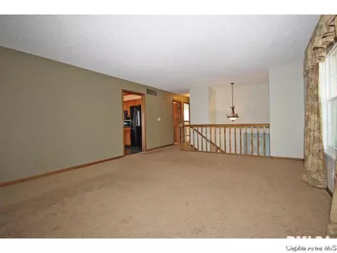 844 Hackberry Rd, Chatham, IL 62629 photo 5