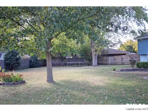 844 Hackberry Rd, Chatham, IL 62629 photo 30