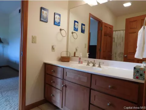 7516 Wentworth, Springfield, IL 62711 photo 18
