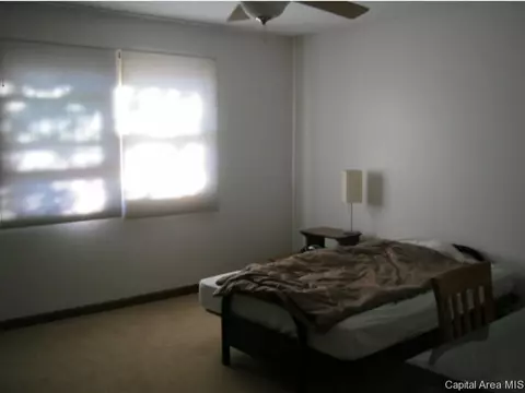 2308 S Park, Springfield, IL 62704 photo 10
