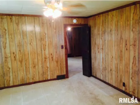 303 E Main St, Tallula, IL 62688 photo 19