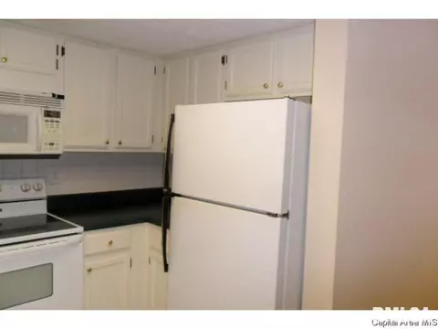 47 Country Pl, Springfield, IL 62703 photo 11