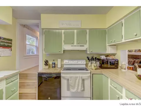 1528 S Douglas Ave, Springfield, IL 62704 photo 18