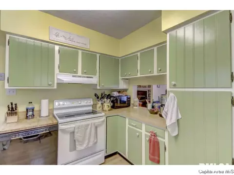 1528 S Douglas Ave, Springfield, IL 62704 photo 17
