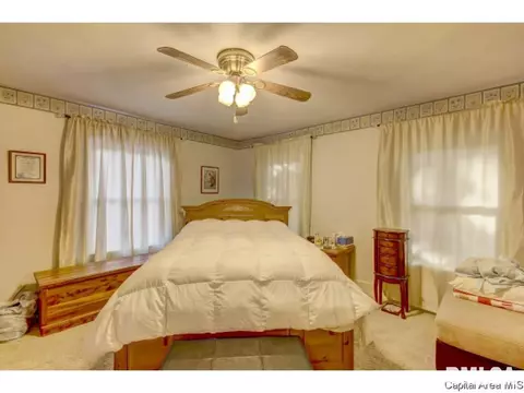 1528 S Douglas Ave, Springfield, IL 62704 photo 21