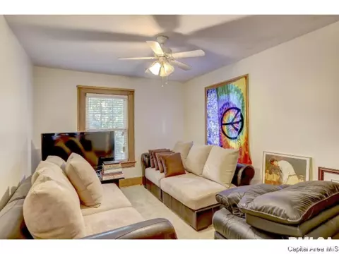 1528 S Douglas Ave, Springfield, IL 62704 photo 20