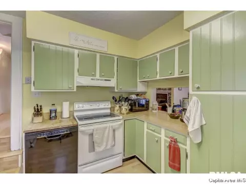 1528 S Douglas Ave, Springfield, IL 62704 photo 16