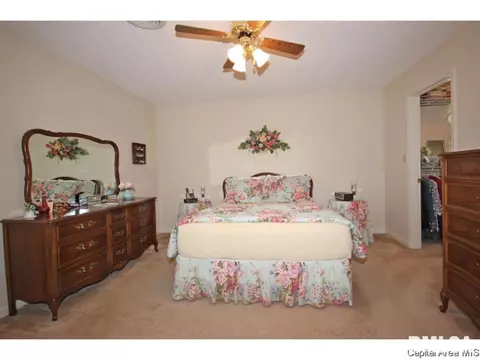 3108 Widbey Ct, Springfield, IL 62704 photo 24