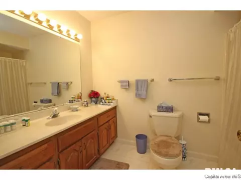 3108 Widbey Ct, Springfield, IL 62704 photo 26