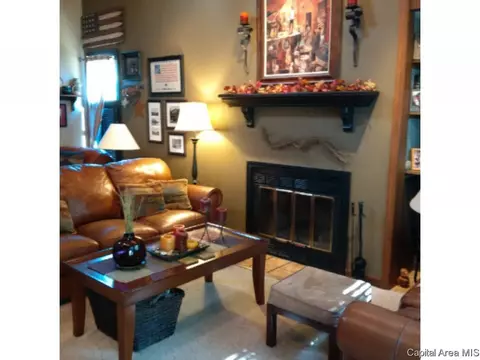 16 Sarah, Springfield, IL 62703 photo 14