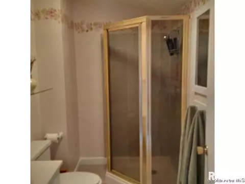 16 Sarah, Springfield, IL 62703 photo 29