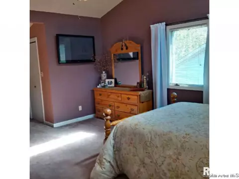 16 Sarah, Springfield, IL 62703 photo 27