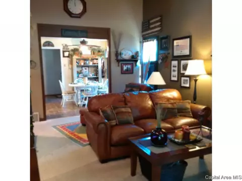 16 Sarah, Springfield, IL 62703 photo 18