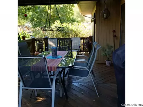 16 Sarah, Springfield, IL 62703 photo 33