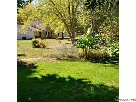 16 Sarah, Springfield, IL 62703 photo 35