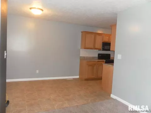 1617 N 20th St, Springfield, IL 62702 photo 3