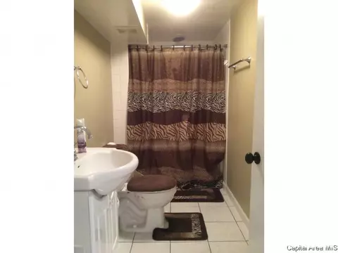 2516 Holmes Ave, Springfield, IL 62704 photo 18