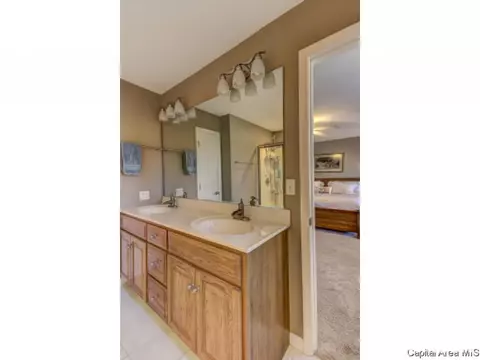 3513 Sundance Dr, Springfield, IL 62711 photo 24