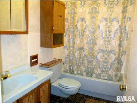 605 N Maple St, Abingdon, IL 61410 photo 20
