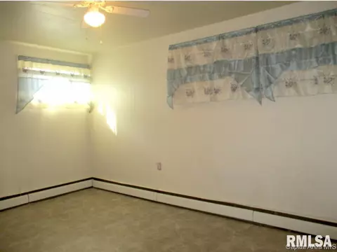 605 N Maple St, Abingdon, IL 61410 photo 19