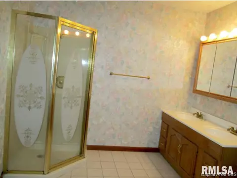 605 N Maple St, Abingdon, IL 61410 photo 24
