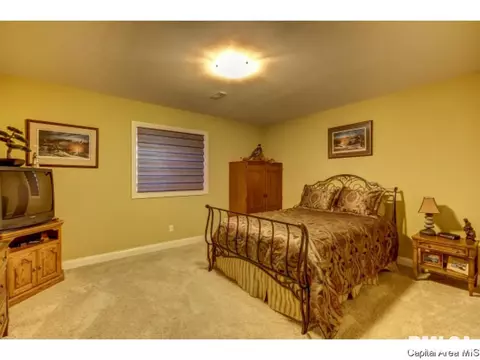 2001 Providence Ln, Springfield, IL 62711 photo 22