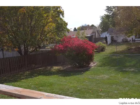 1916 Creighton, Springfield, IL 62703 photo 29