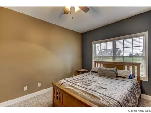 291 Bourbon St, Springfield, IL 62707 photo 20