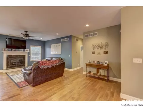 291 Bourbon St, Springfield, IL 62707 photo 11