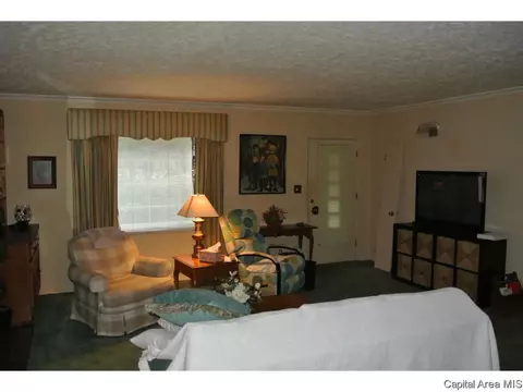 506 W Carpenter, Springfield, IL 62702 photo 21
