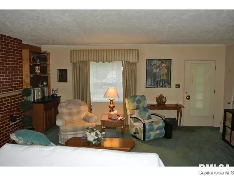 506 W Carpenter, Springfield, IL 62702 photo 20