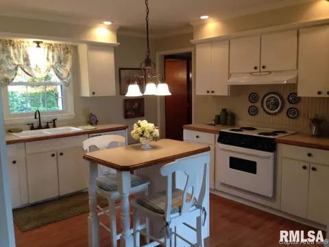 401 N Maple St, Abingdon, IL 61410 photo 10