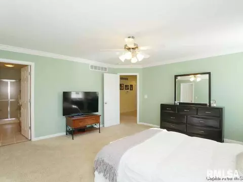 1508 Saltcedar, Springfield, IL 62712 photo 26