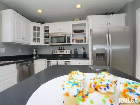 1508 Saltcedar, Springfield, IL 62712 photo 17