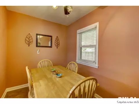 2536 S 5th, Springfield, IL 62704 photo 15