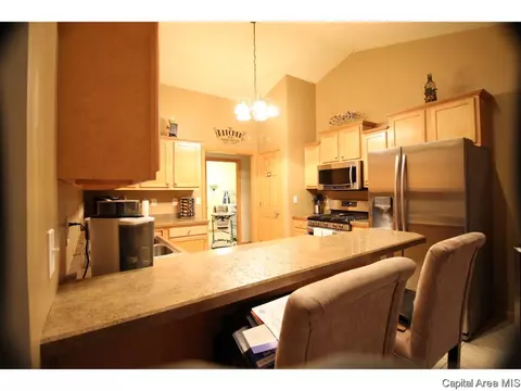 712 Breann Dr, Riverton, IL 62561 photo 9