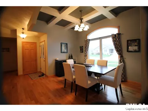 712 Breann Dr, Riverton, IL 62561 photo 7