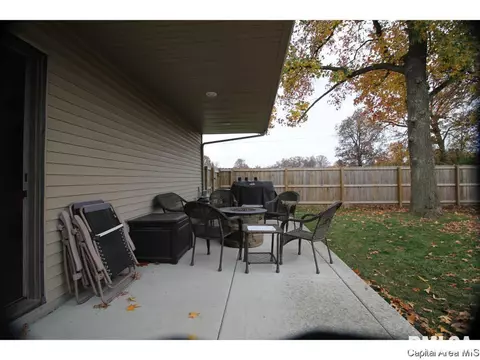 712 Breann Dr, Riverton, IL 62561 photo 19