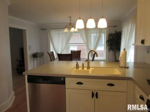 425 W Cook St, Springfield, IL 62704 photo 11